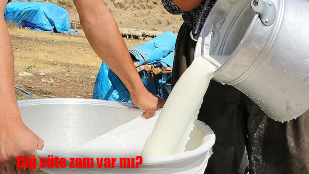 Çiğ süte zam var mı? Çiğ süt zammı etikete nasıl yansır?