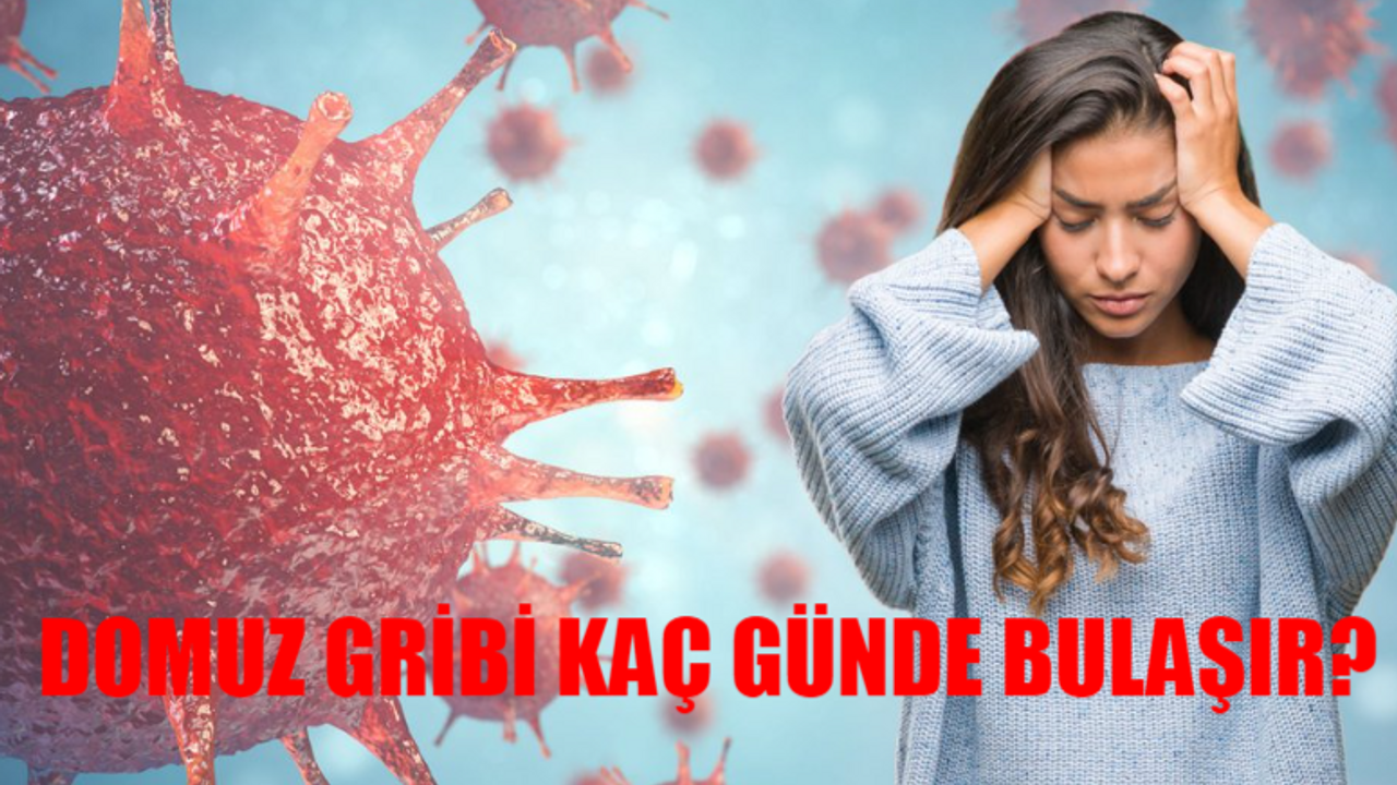 Domuz Gribi Tehlikeli Mi? Domuz Gribi Bulaşıcılığı Kaç Gün? Domuz Gribi Nasıl Geçer? Domuz Gribi Belirtileri