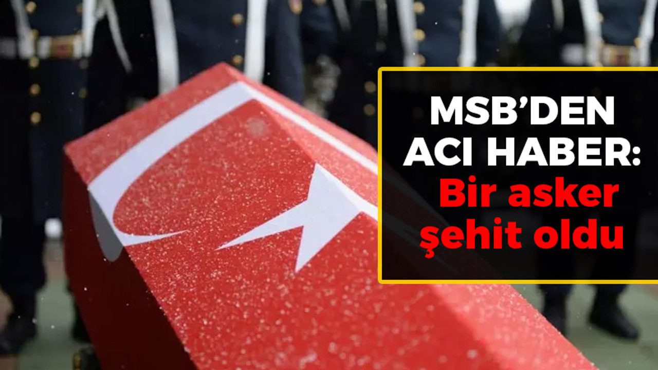 MSB'den acı haber: Bir asker şehit oldu