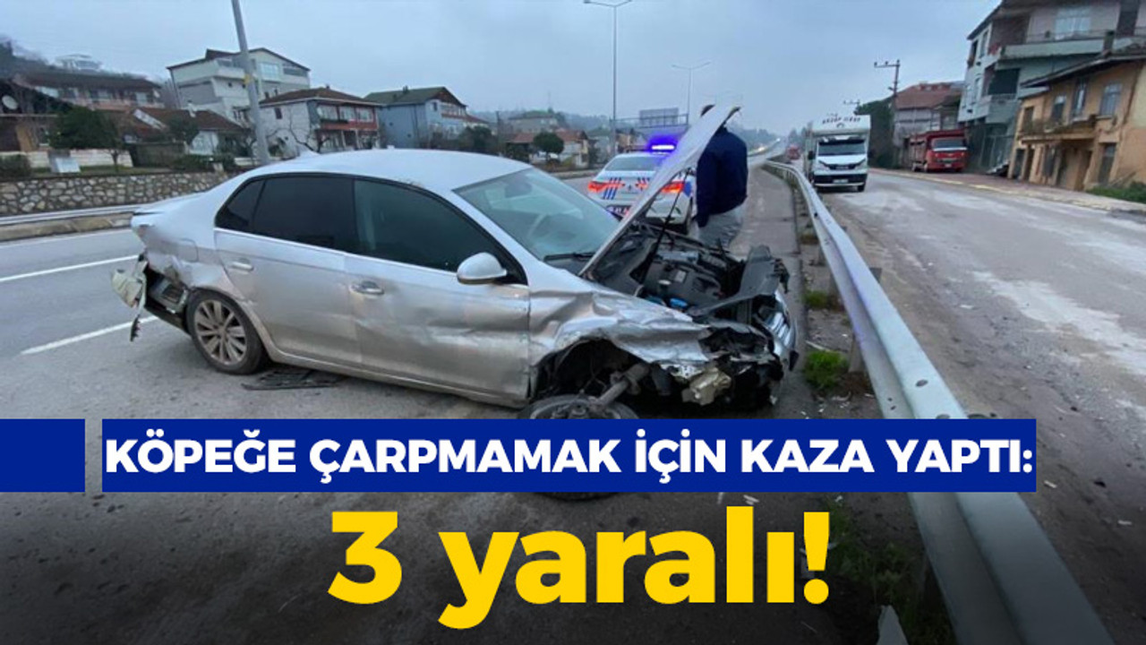 Kocaeli haber - Köpeğe çarpmamak için kaza yaptı: 3 yaralı