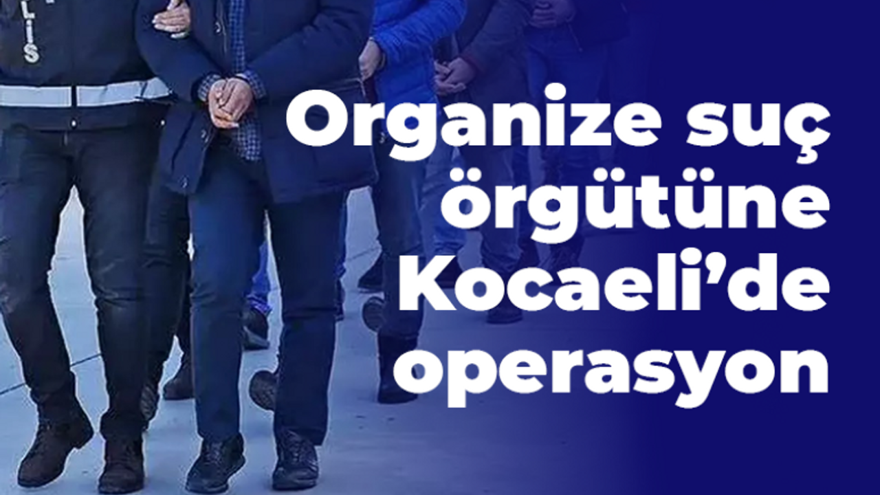 Organize suç örgütüne Kocaeli’de operasyon