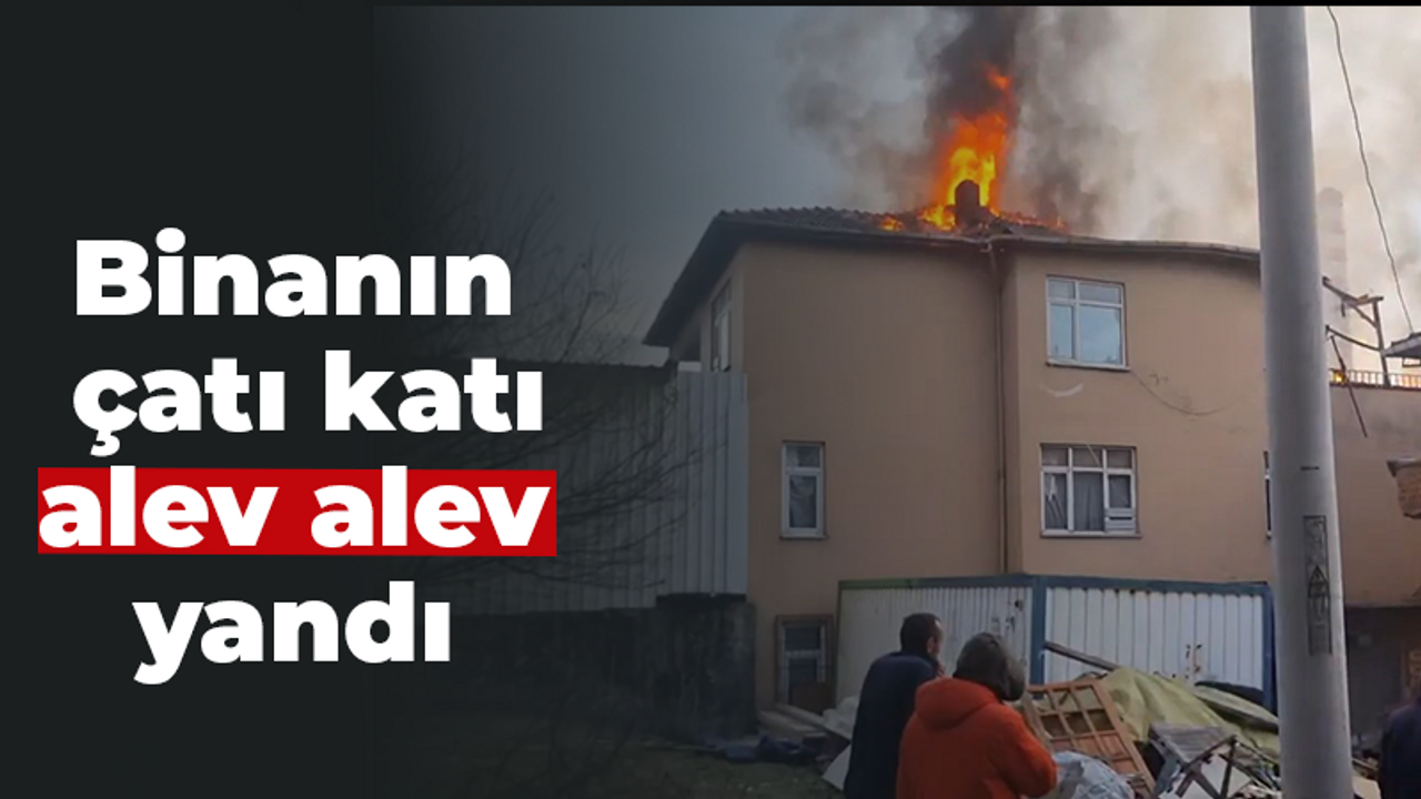 Binanın çatı katı alev alev yandı