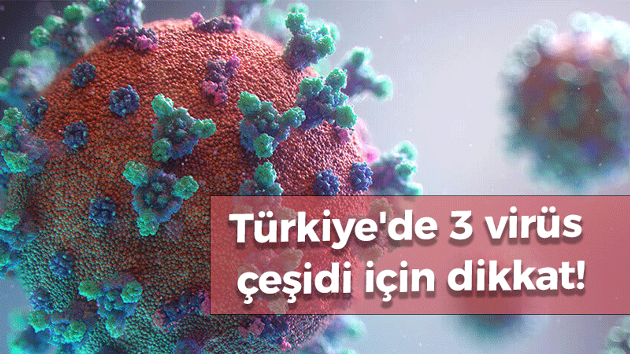 Türkiye'de 3 virüs çeşidi için dikkat!