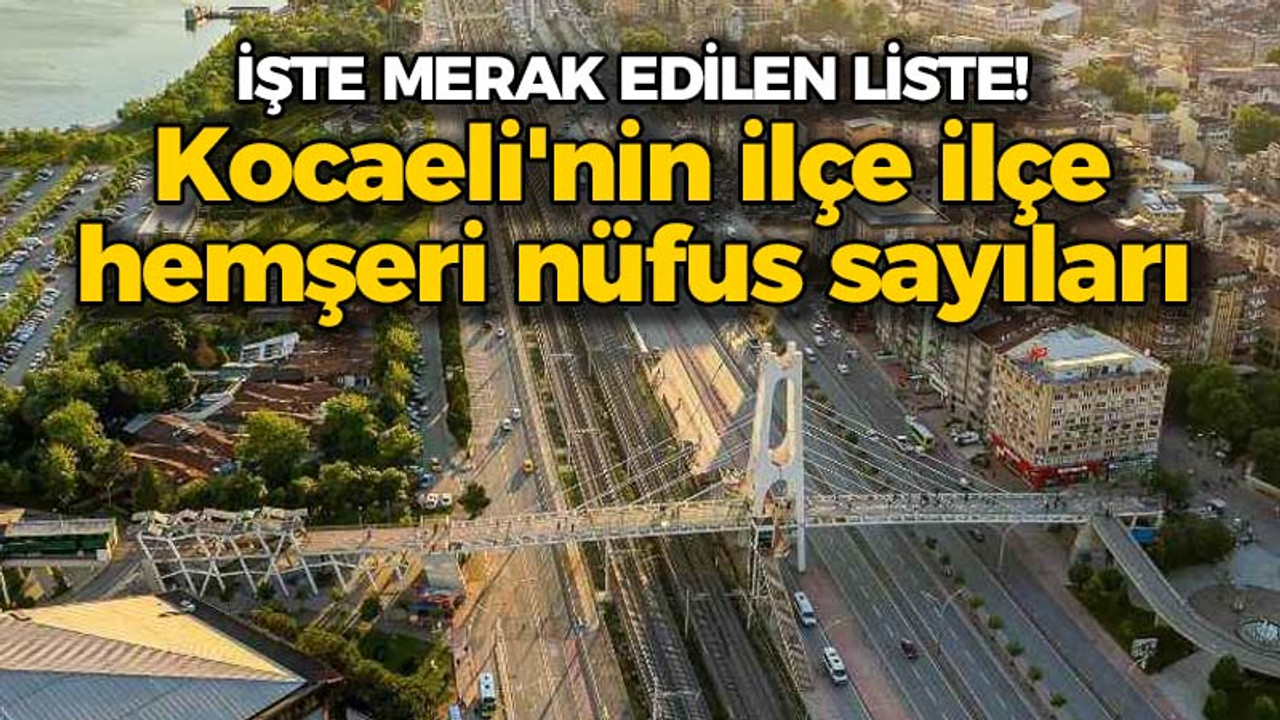 Yerel seçimler öncesi bu listeler çok konuşulur: Kocaeli’nin ilçe ilçe hemşeri nüfus haritası!