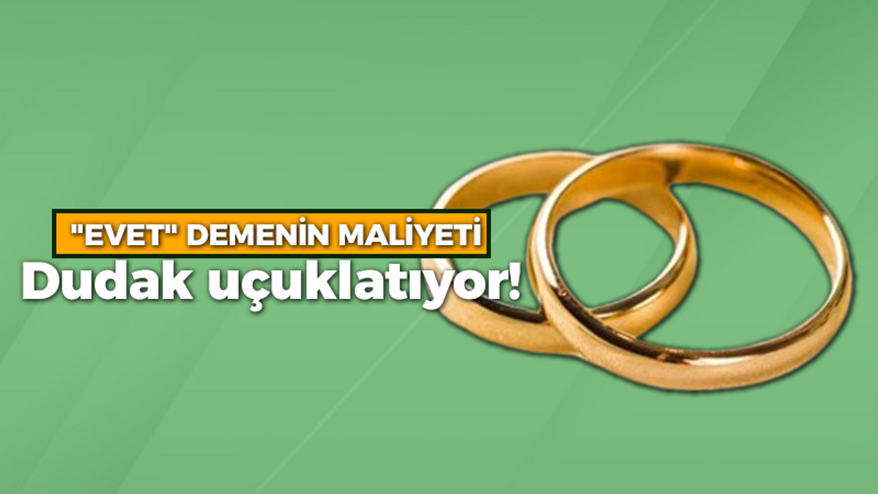 "EVET" demenin maliyeti dudak uçuklatıyor!