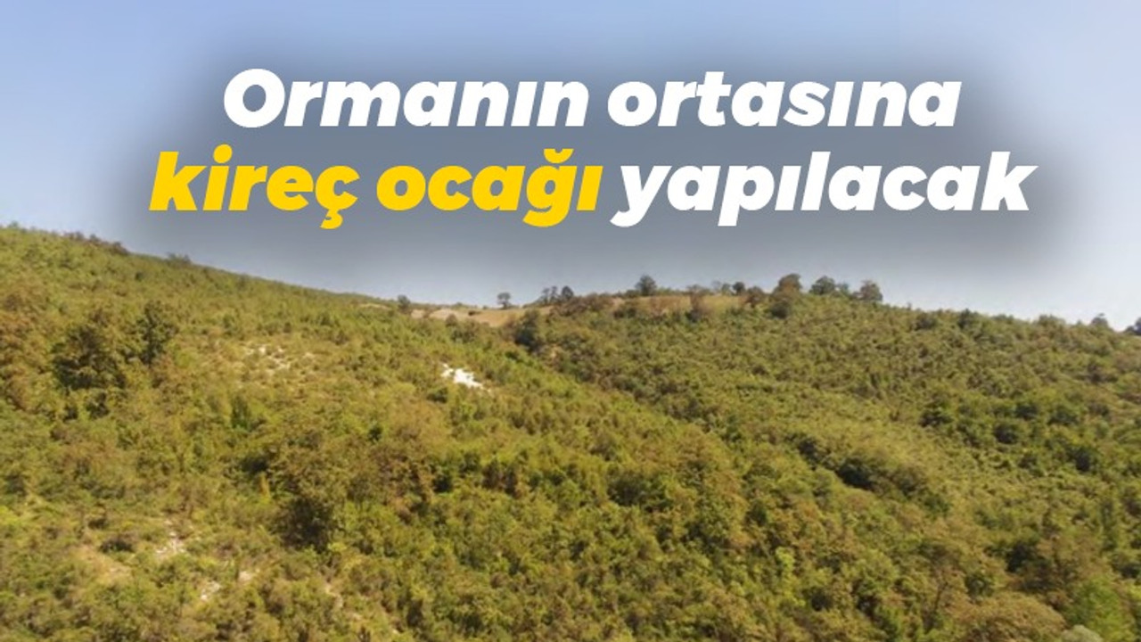 Ormanın ortasına kireç ocağı yapılacak