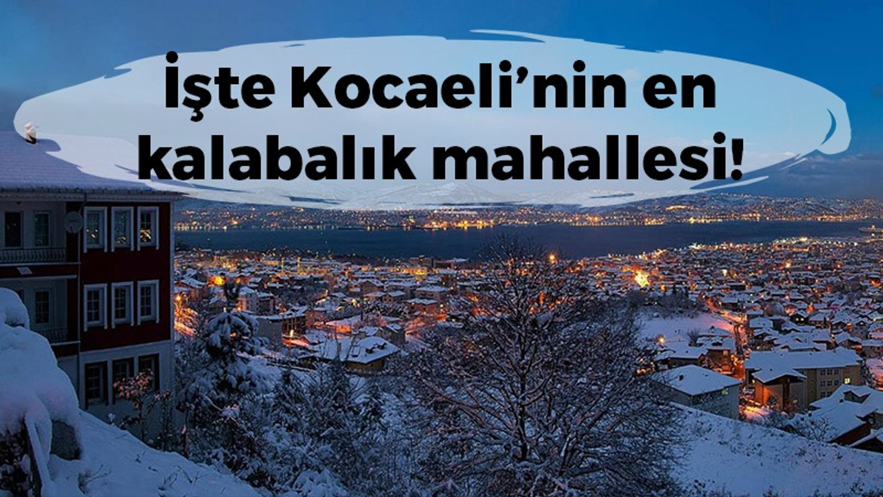 Kocaeli’nin en kalabalık mahallesi belli oldu