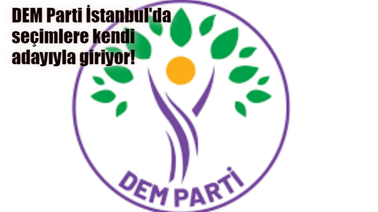 DEM Parti İstanbul'da aday çıkaracak mı? DEM Parti İstanbul adayını ne zaman açıklayacak? Başak Demirtaş DEM Parti İstanbul adayı mı oldu?