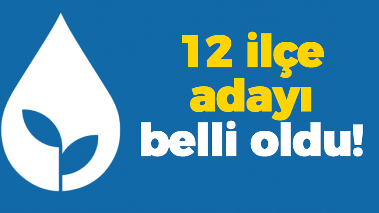 DEVA Partisi'nin 12 ilçe adayı belli oldu!