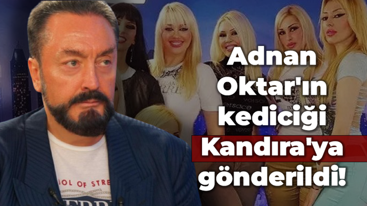 Adnan Oktar'ın kediciği Kandıra'ya gönderildi!