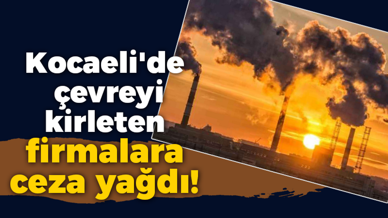 Kocaeli'de çevreyi kirleten firmalara ceza yağdı!