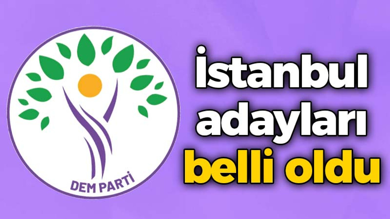 DEM Parti'nin İstanbul adayı belli oldu