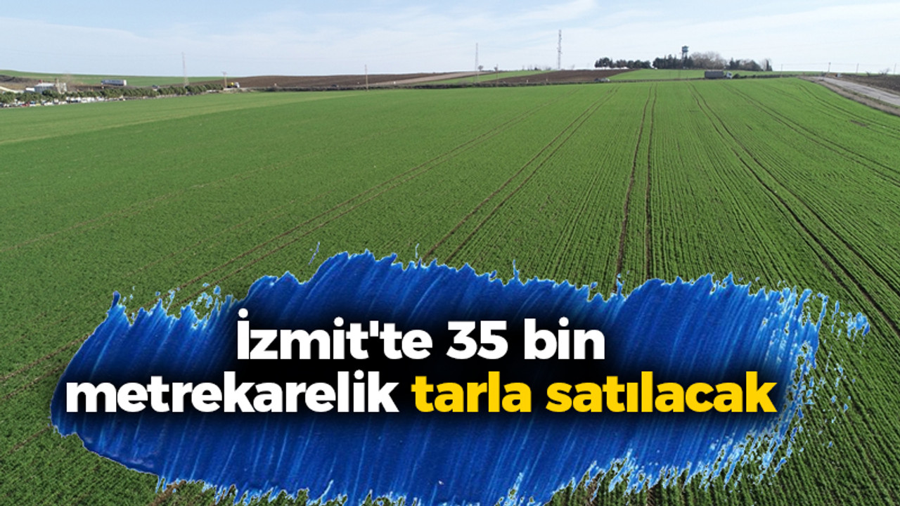 İzmit'te 35 bin metrekarelik tarla satılacak