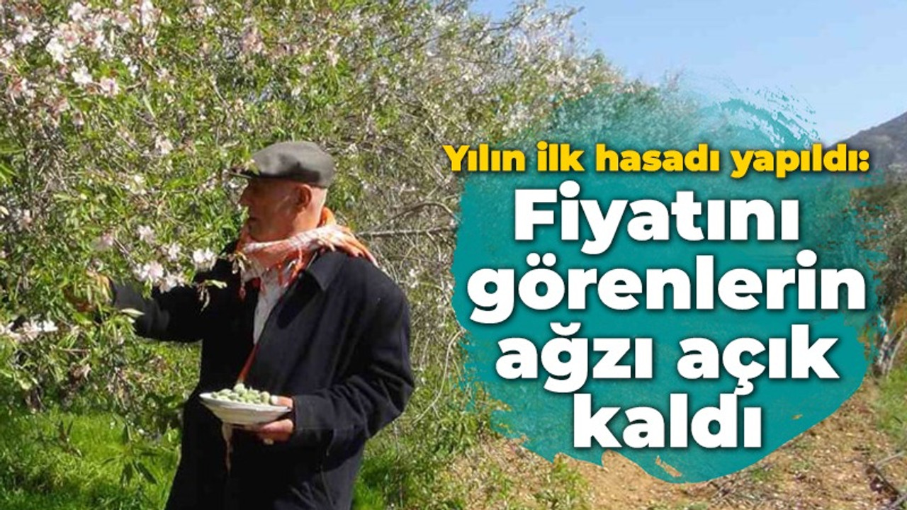 Yılın ilk hasadı yapıldı: Fiyatını görenlerin ağzı açık kaldı