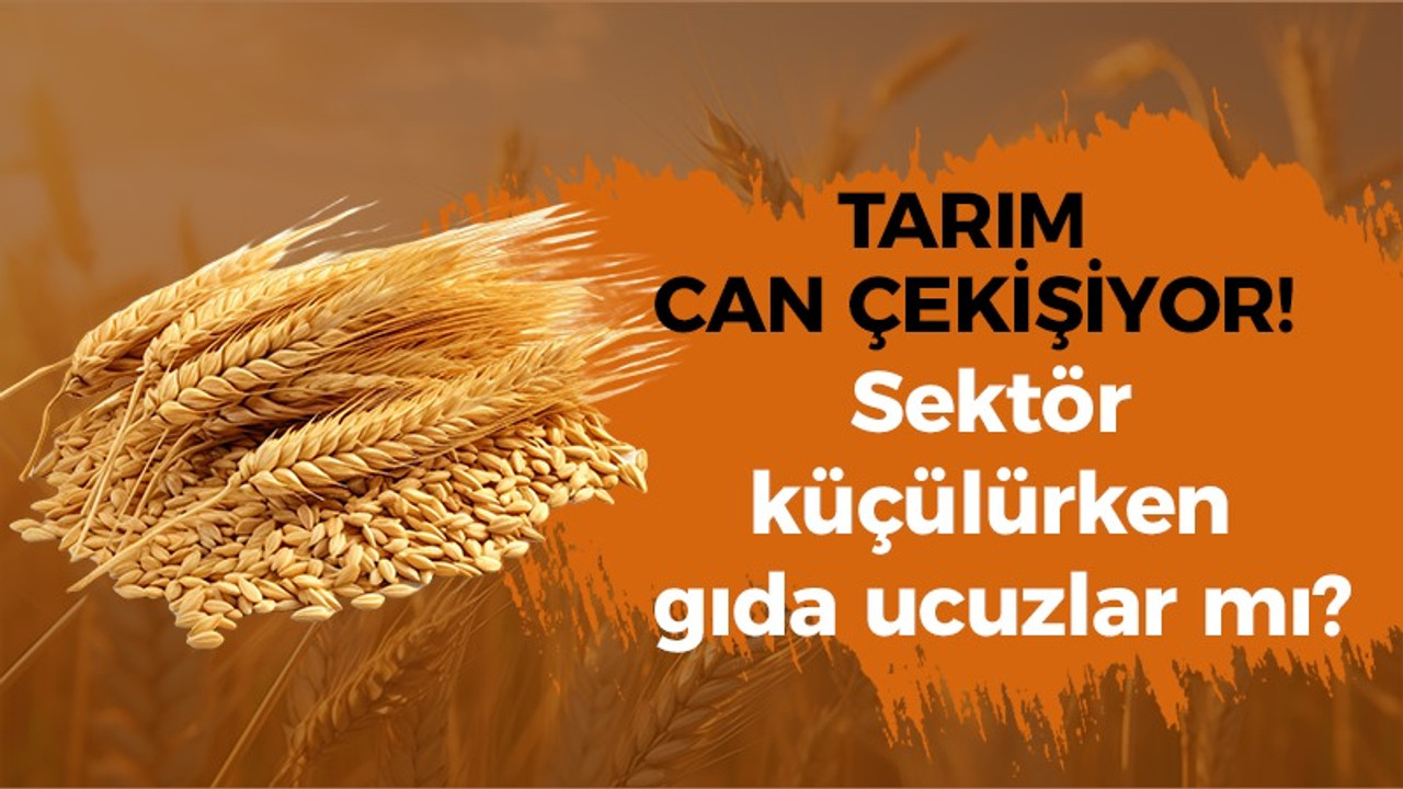 Tarım can çekişiyor! Sektör küçülürken gıda ucuzlar mı?