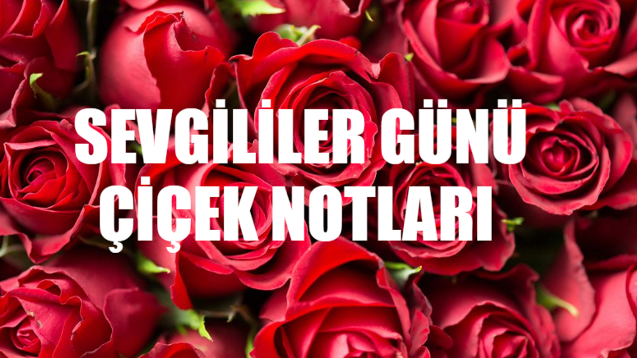 Sevgililer Günü Çiçek Notları En Anlamlı Güzel: En Özel 14 Şubat Sevgililer Günü Çiçek Notu Hangisi? Sevgililer Günü Romantik, Anlamlı, Duygusal, Hazır Notlar