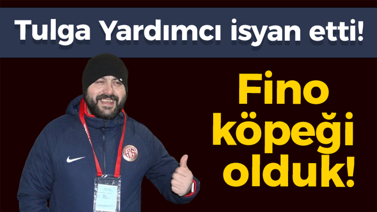 Tulga Yardımcı isyan etti! Fino köpeği olduk!