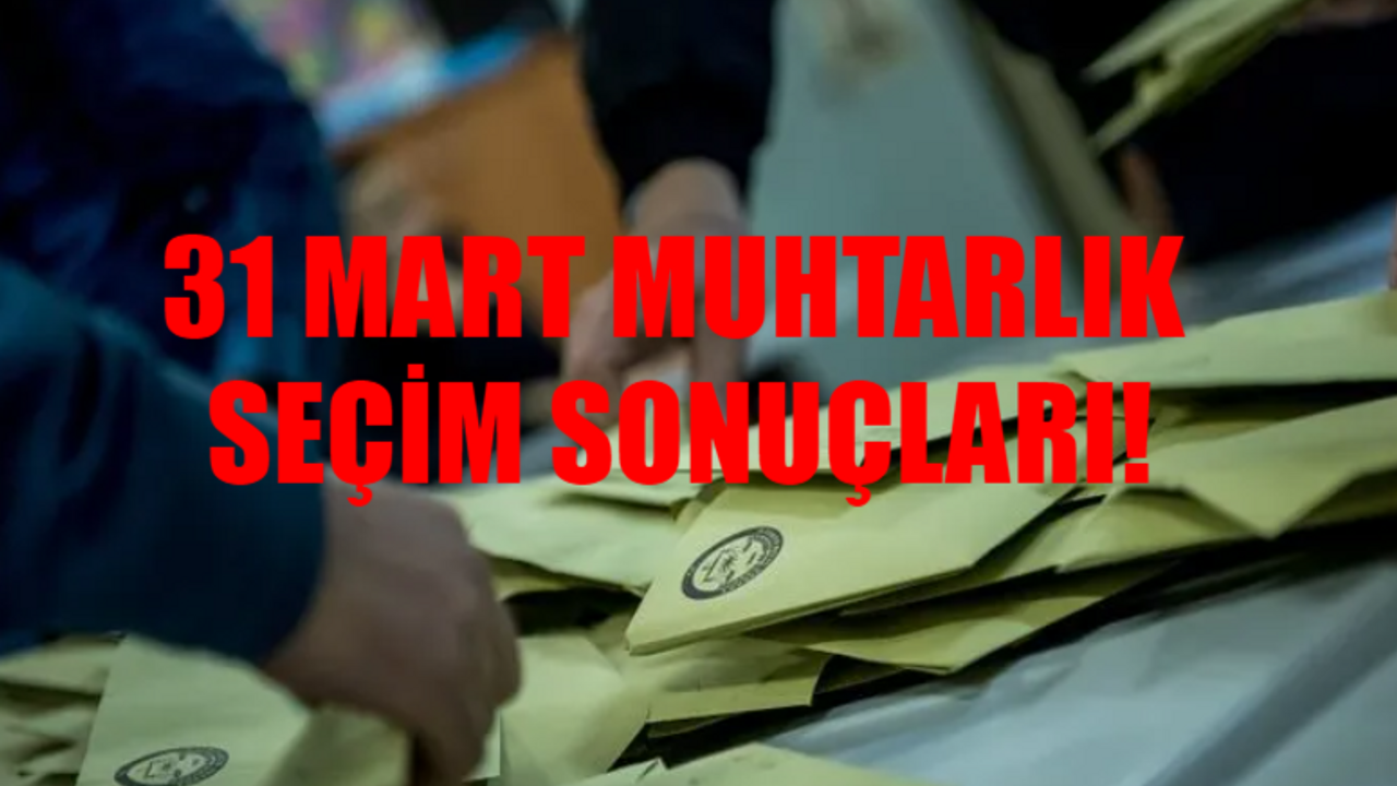 31 MART MUHTARLIK SEÇİM SONUÇLARI 2024: Muhtarlık Seçim Sonuçları Nereden Öğrenilir? YSK Muhtarlık Seçim Sonuçları Sorgulama Ekranı