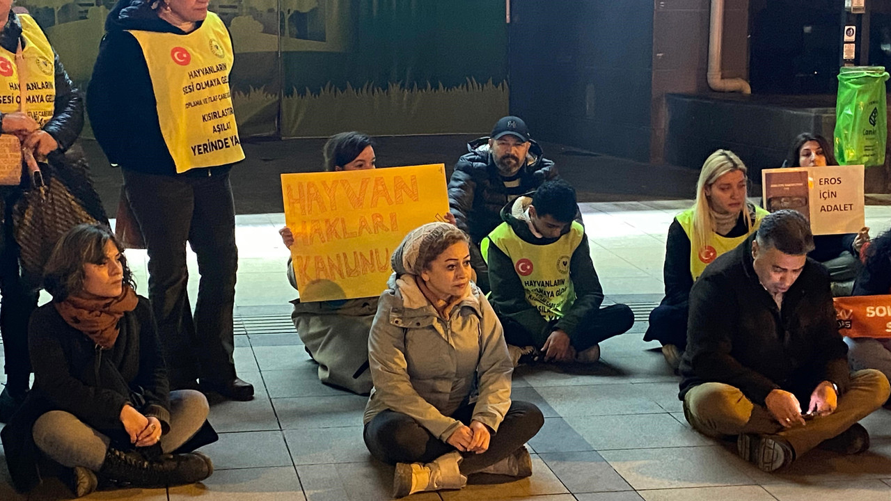 Onlarca insan kedi katilini yeniden protesto etti