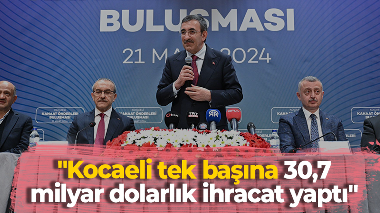 "Kocaeli tek başına 30,7 milyar dolarlık ihracat yaptı"