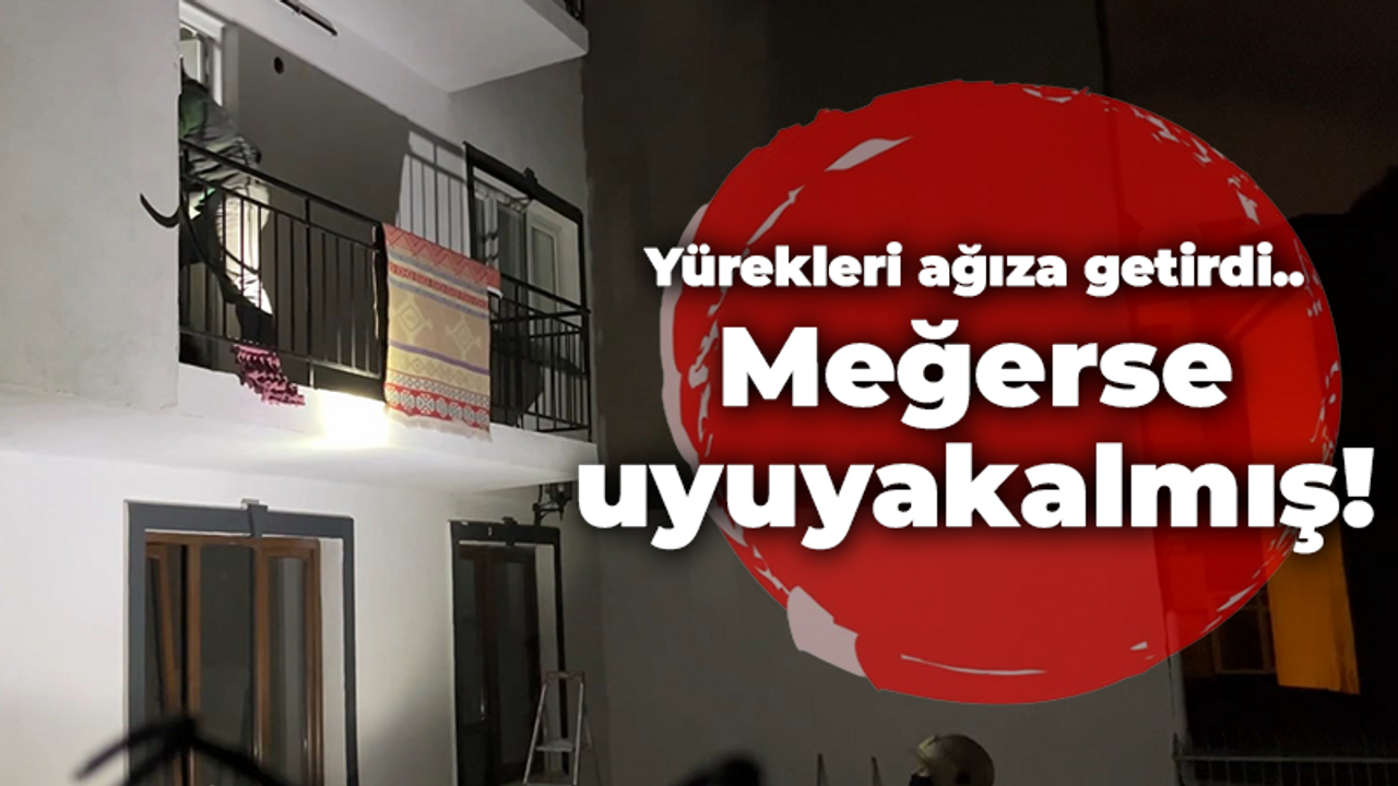 Yürekleri ağıza getirdi.. Meğerse uyuyakalmış!