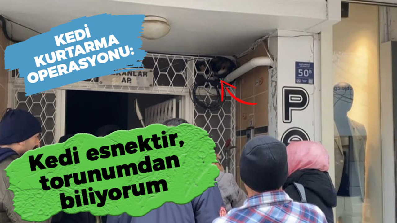 Kedi kurtarma operasyonu: Kedi esnektir, torunumdan biliyorum