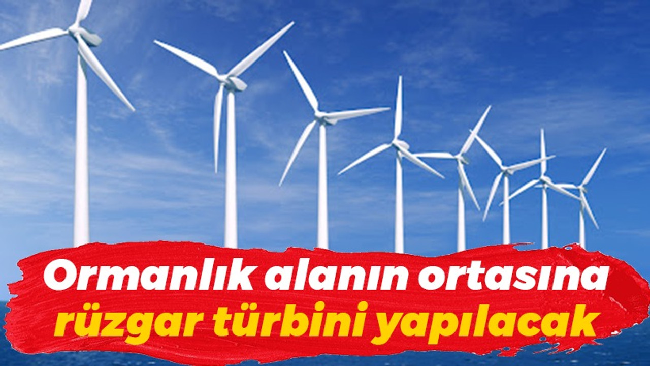 Ormanlık alanın ortasına rüzgar türbini yapılacak