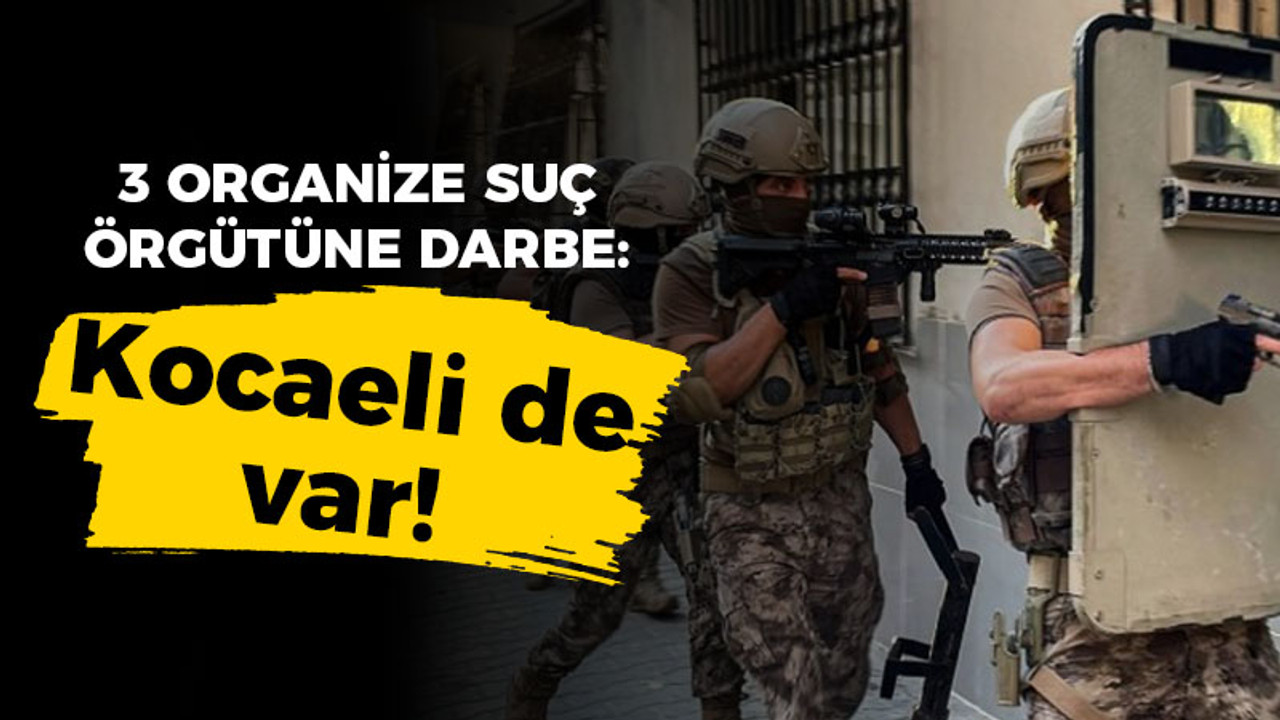 3 organize suç örgütüne darbe: Kocaeli de var!