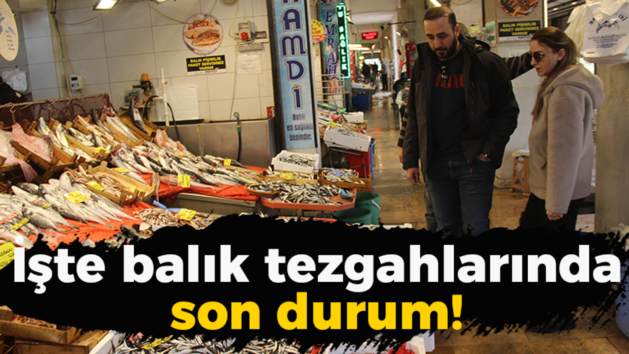 İşte balık tezgahlarında son durum!