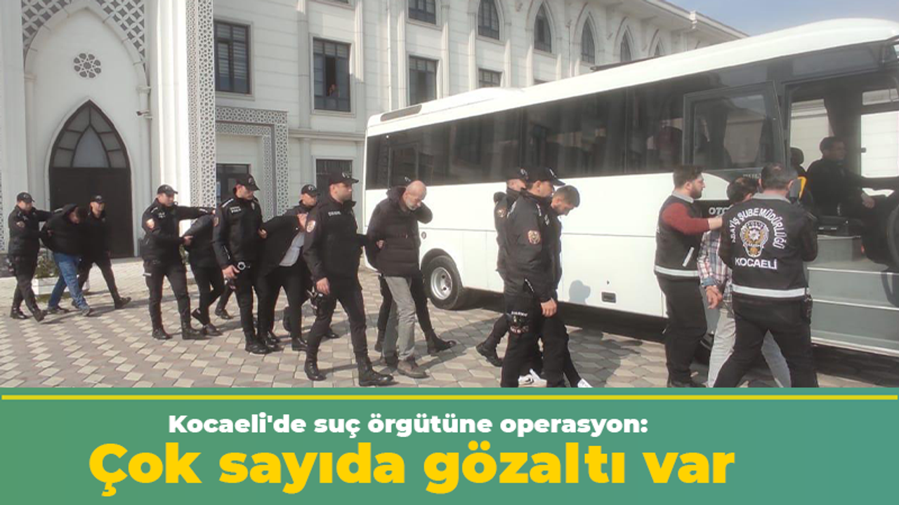 Kocaeli'de suç örgütüne operasyon: Çok sayıda gözaltı var