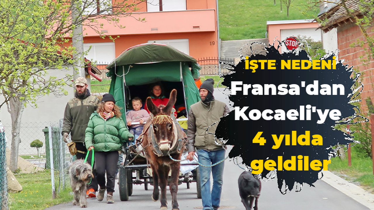 Fransa'dan Kocaeli'ye 4 yılda geldiler