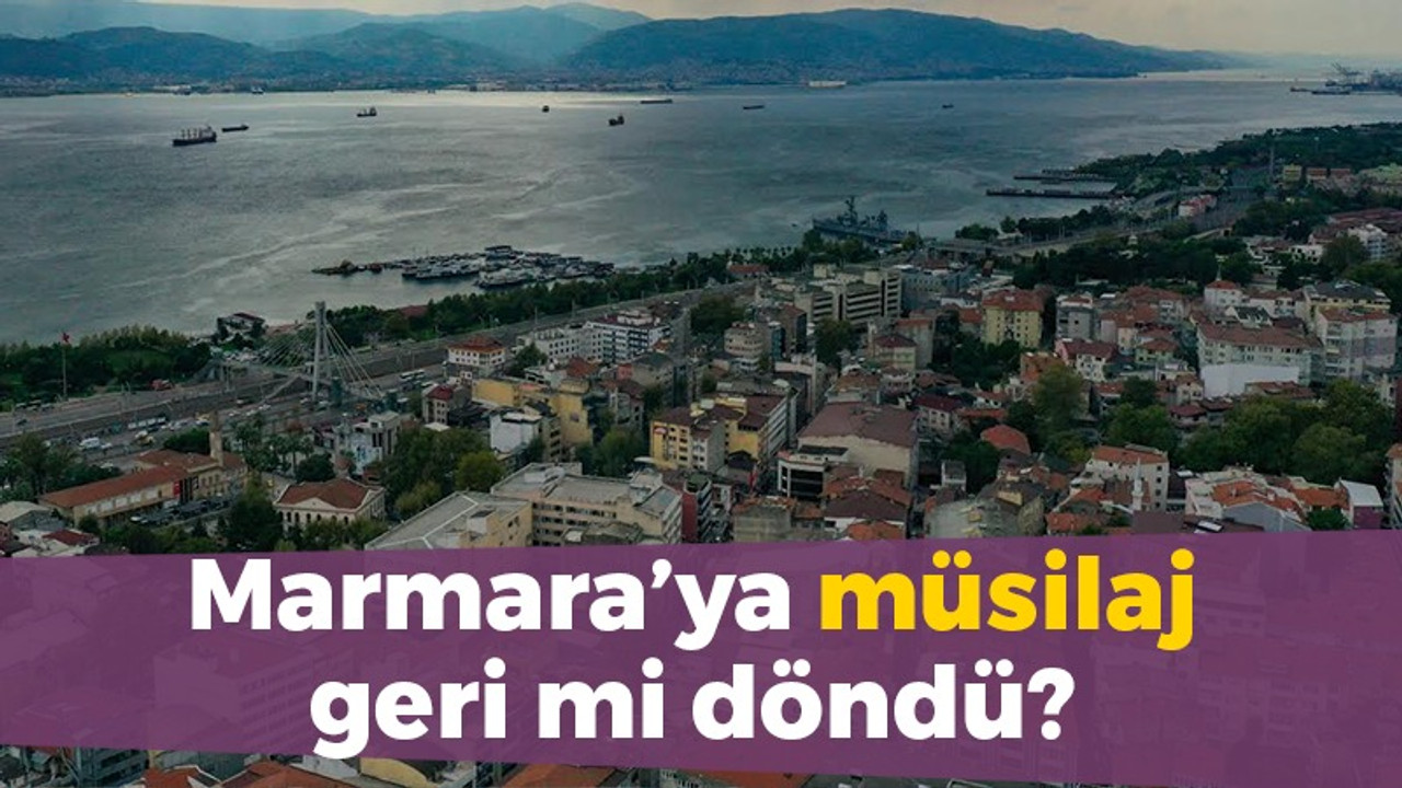 Marmara'ya müsilaj geri mi döndü?