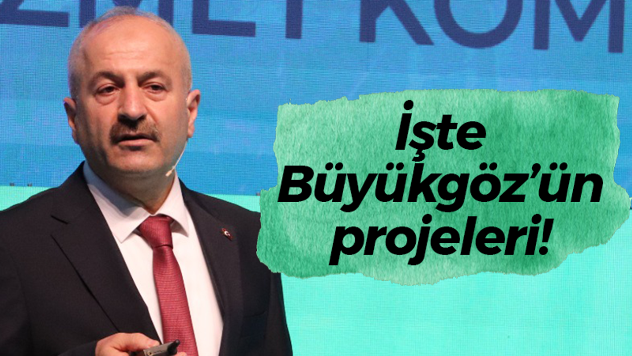 İşte Zinnur Büyükgöz’ün projeleri!