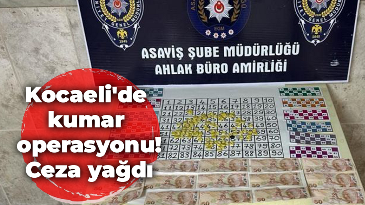 Kocaeli'de kumar operasyonu! Ceza yağdı