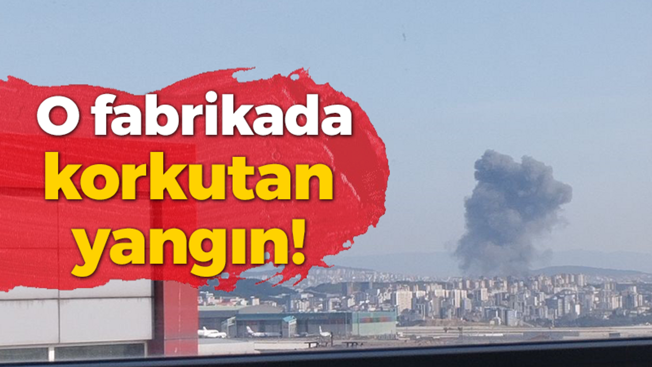 Tuzla'da Kocaeli sınırında bulunan fabrikada korkutan yangın!