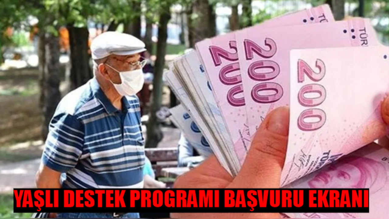 YADES BAŞVURU EKRANI 2024: Yaşlı Destek Programı Nedir? Yaşlı Destek Programı Başvuru Nasıl Yapılır? YADES Başvuru