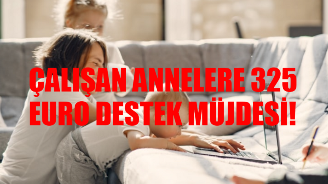 ÇALIŞAN ANNELERE 325 EURO DESTEK BAŞVURU EKRANI: SGK 325 Euro Destek Kimler Alabilir? SGK Çalışan Annelere 325 Euro Destek Başvuru Nasıl Yapılır?