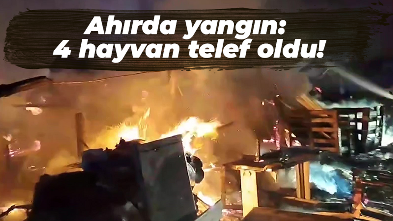 Ahırda yangın: 4 hayvan telef oldu!