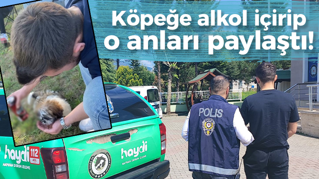 Köpeğe alkol içirip o anları paylaştı!