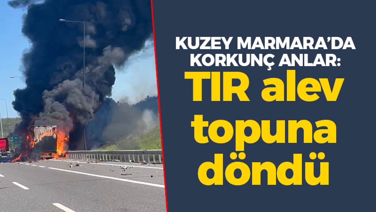 Kuzey Marmara'da korkunç dakikalar: TIR alev topuna döndü