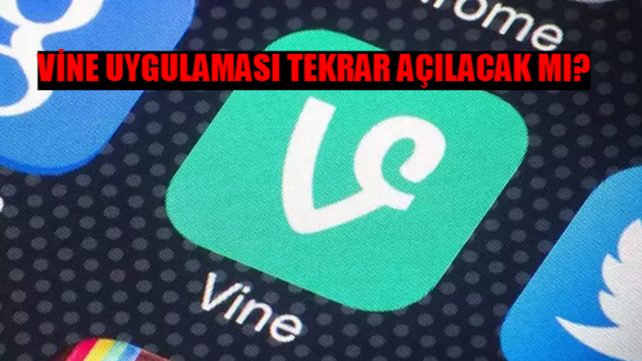 ELON MUSK VİNE ANKETİ: Vine Nedir? Vine Neden Kapandı? Vine Uygulaması Tekrar Açılacak Mı?