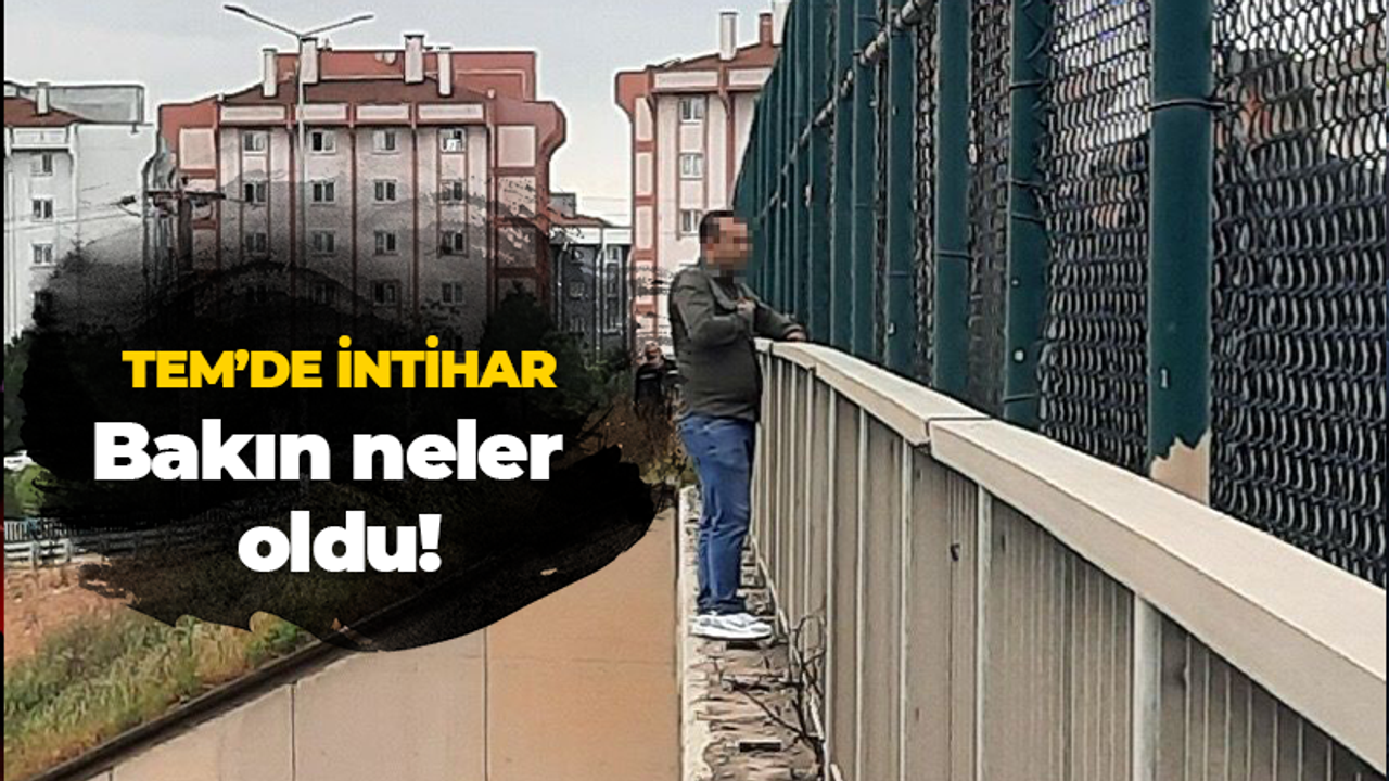 TEM’de intihar bakın neler oldu!