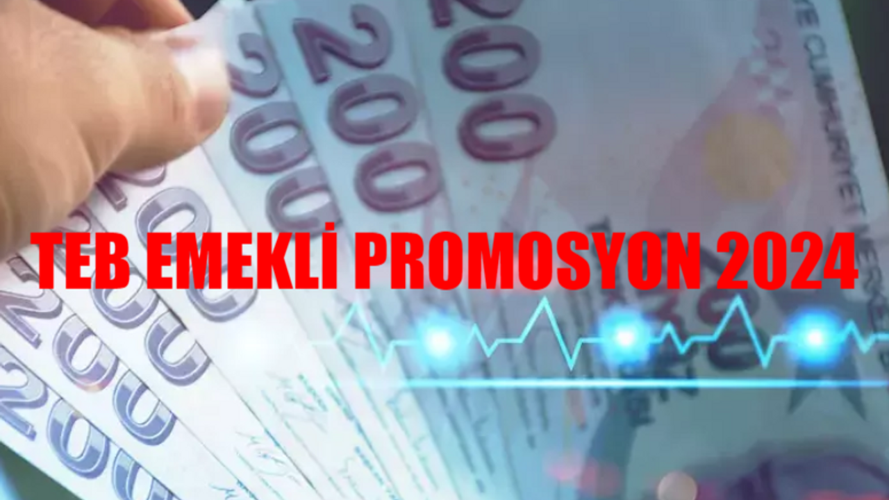 TEB EMEKLİ PROMOSYON 2024 BAŞVURU EKRANI: TEB 12.000 TL Promosyon Ödemeniz Hazır! TEB Emekli Promosyon Nasıl Alınır?