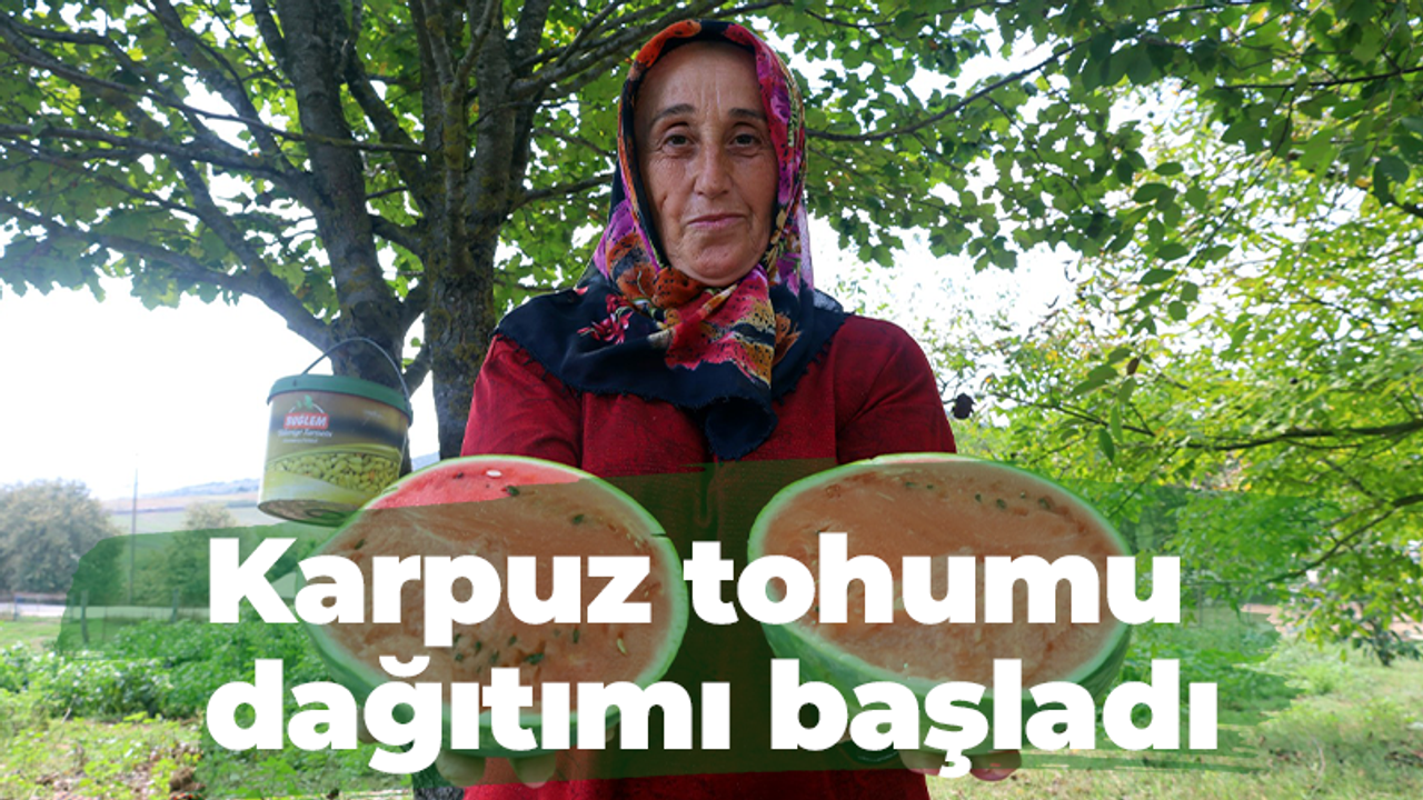 Karpuz tohumu dağıtımı başladı