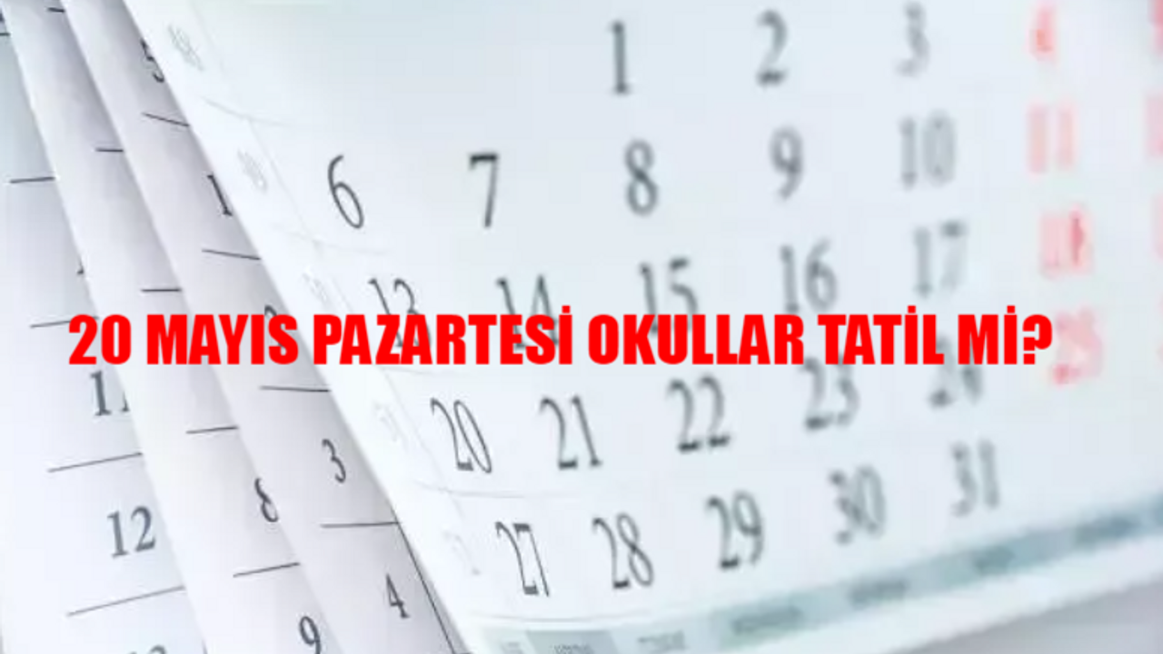 20 MAYIS PAZARTESİ OKULLAR TATİL Mİ SON DAKİKA! 20 Mayıs Okul Var Mı? 20 Mayıs Pazartesi Okullar, Üniversiteler, Bankalar, Hastaneler Açık Mı?