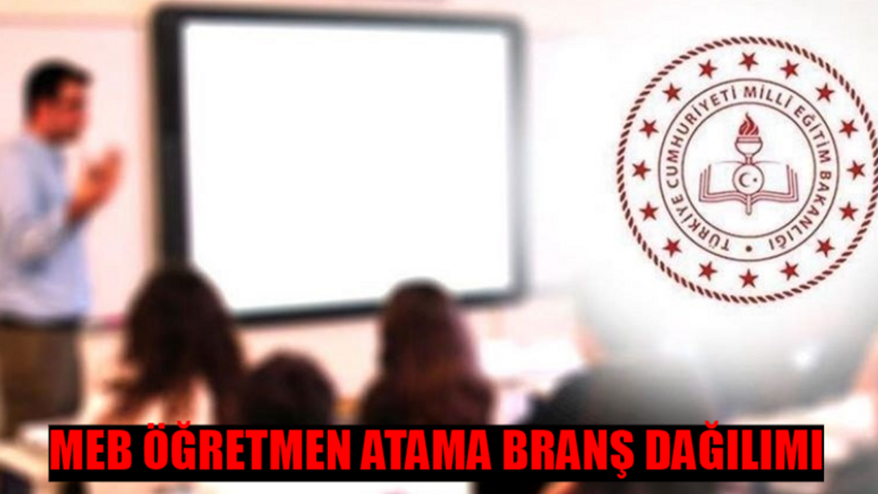 MEB 20 BİN ÖĞRETMEN ATAMASI BRANŞ DAĞILIMI TAM LİSTE: Öğretmen Atama Branş Dağılımı Listesi! 2024 Öğretmen Atama Kontenjanları