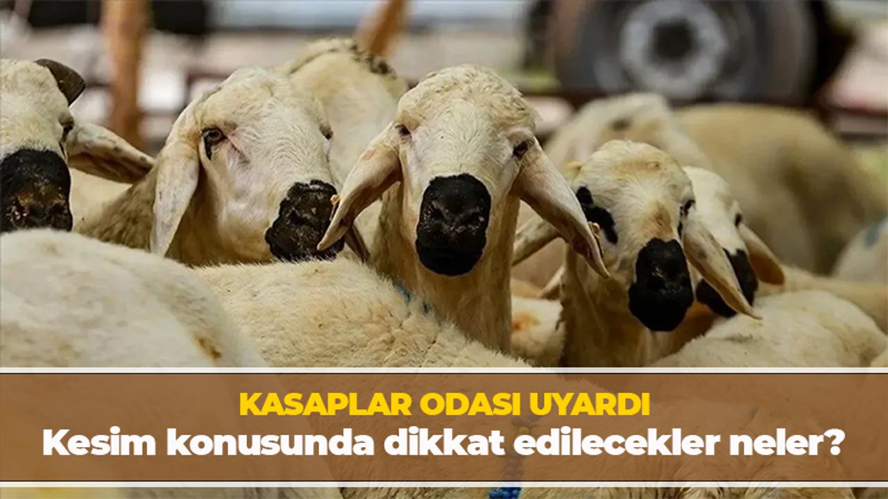 Kurban Bayramı yaklaşıyor! Kasaplar Odası uyarıda bulundu