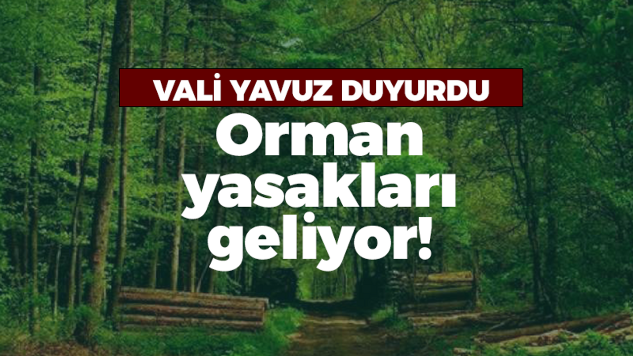 Kocaeli Valiliği'nden orman kararları