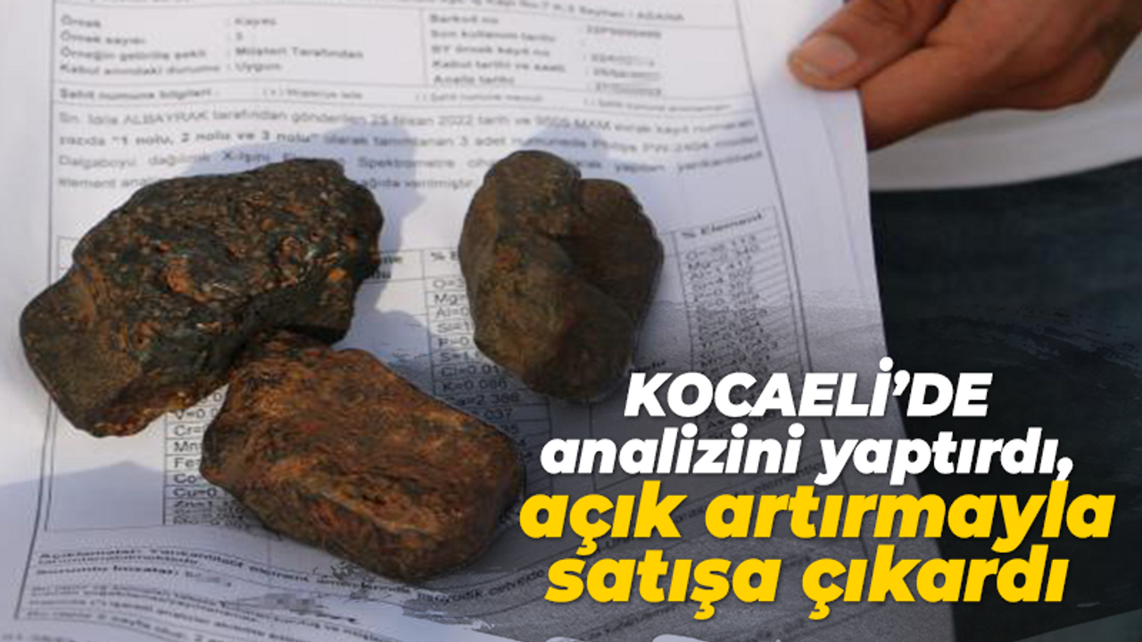 Kocaeli'de analizini yaptırdı, şimdi de açık artırmayla satışa çıkardı