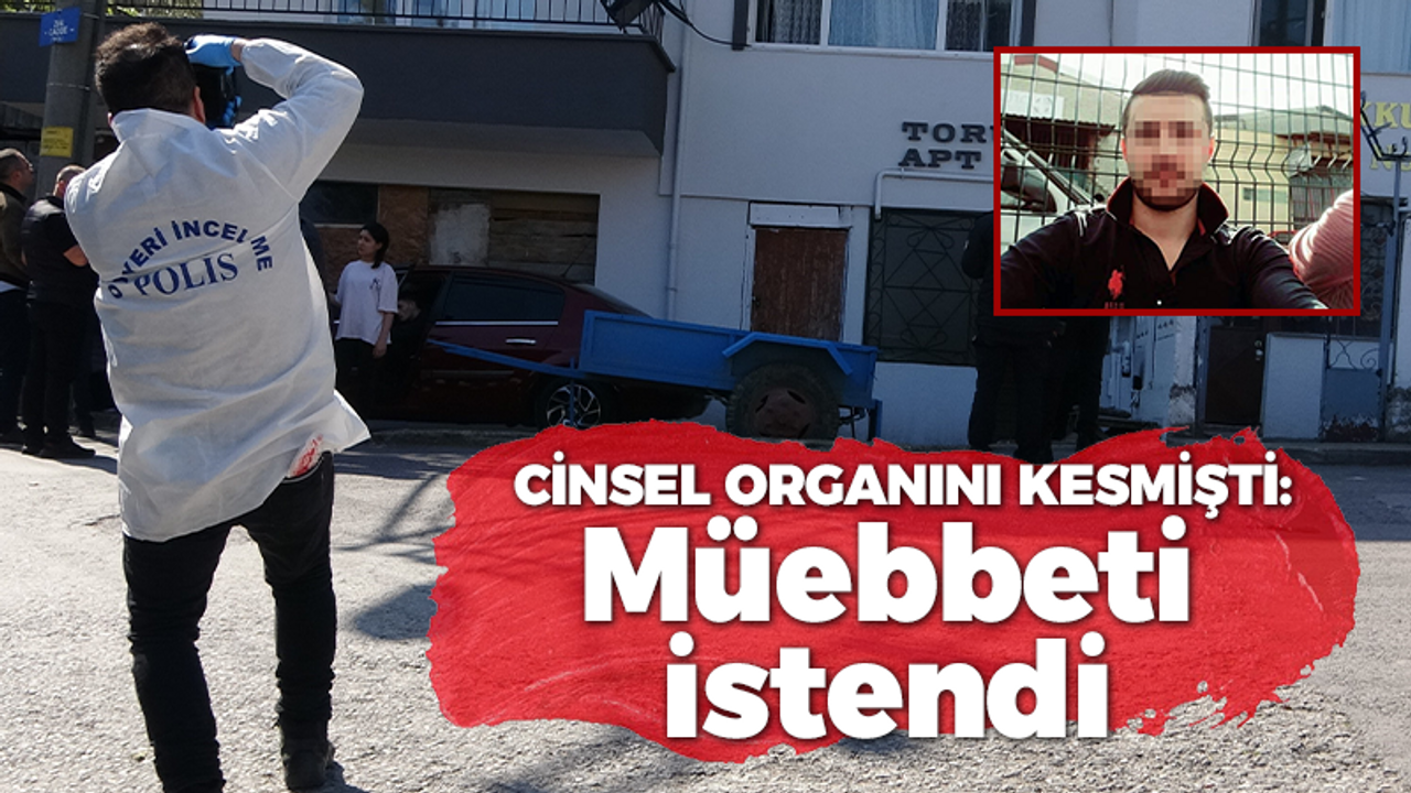 Ağabey'in cinsel organını kesmişti: Müebbet istendi